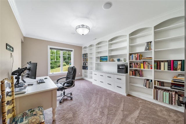 carpeted office featuring crown molding