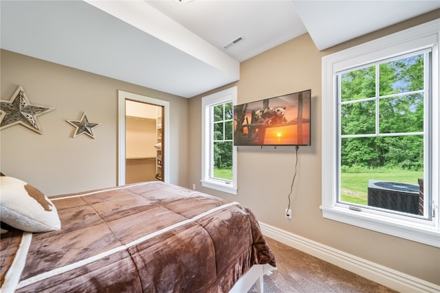 carpeted bedroom with multiple windows and a spacious closet