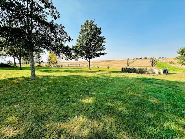 view of yard featuring a rural view