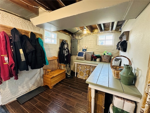 mudroom with a healthy amount of sunlight, electric panel, and dark hardwood / wood-style flooring