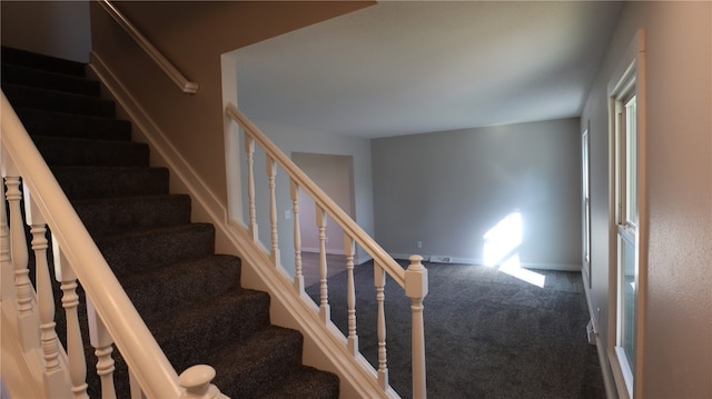 staircase featuring carpet flooring