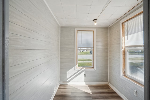 empty room featuring wood-type flooring and wood walls