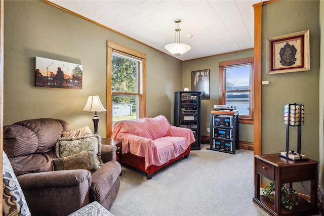 carpeted bedroom with crown molding and a water view