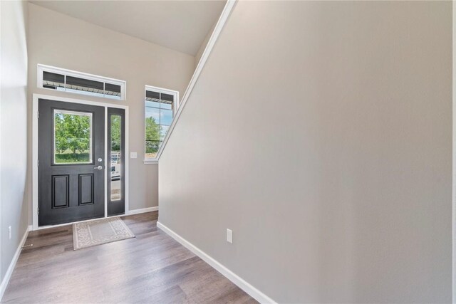 entryway featuring hardwood / wood-style floors