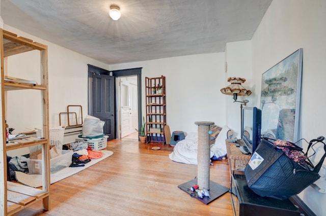 interior space with wood-type flooring