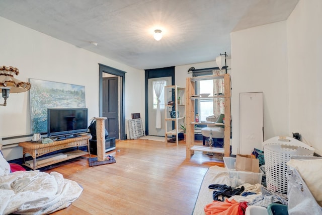 living room with hardwood / wood-style flooring