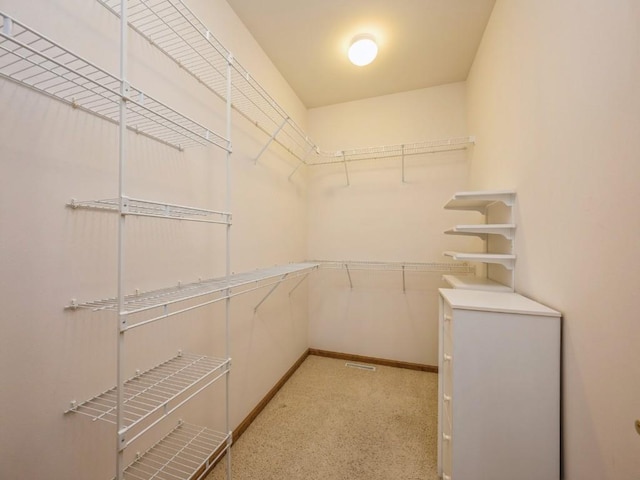 view of spacious closet