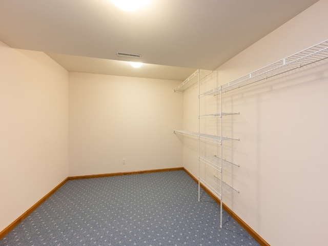 walk in closet with carpet floors