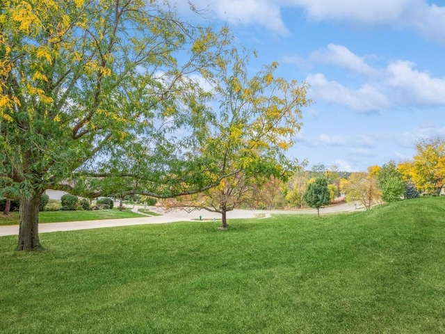 view of property's community with a yard