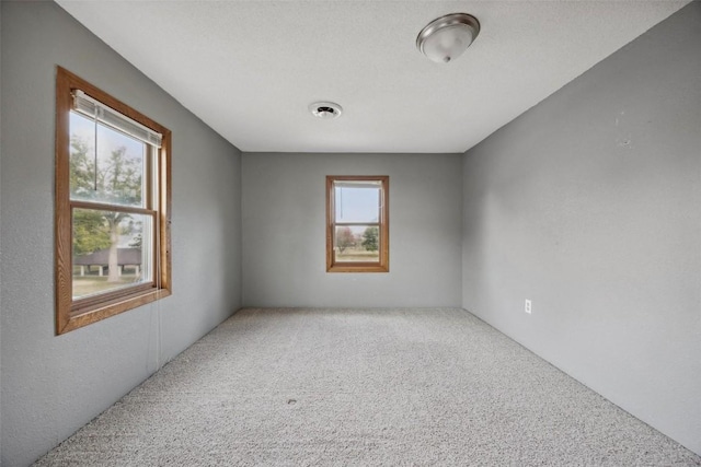 unfurnished room with carpet and plenty of natural light