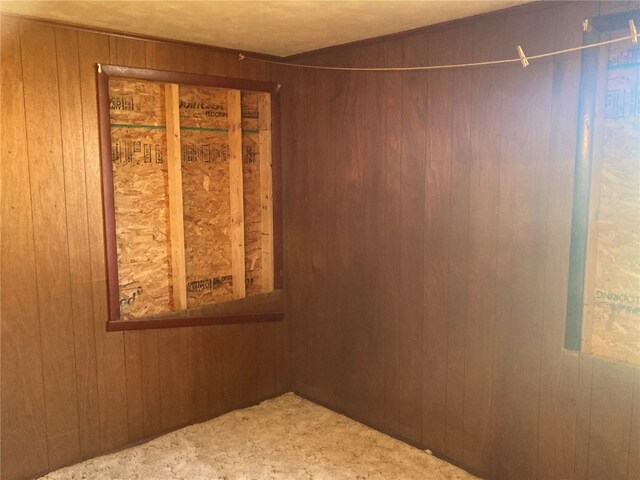 empty room with carpet flooring and wooden walls