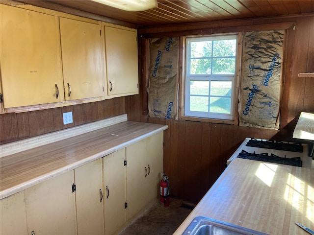 interior space with wood walls and wooden ceiling