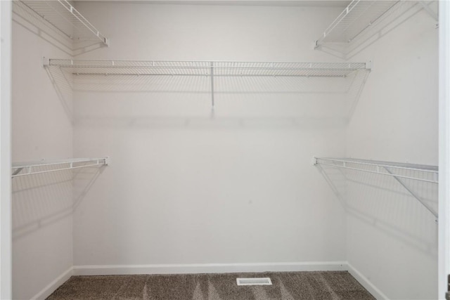 walk in closet with carpet