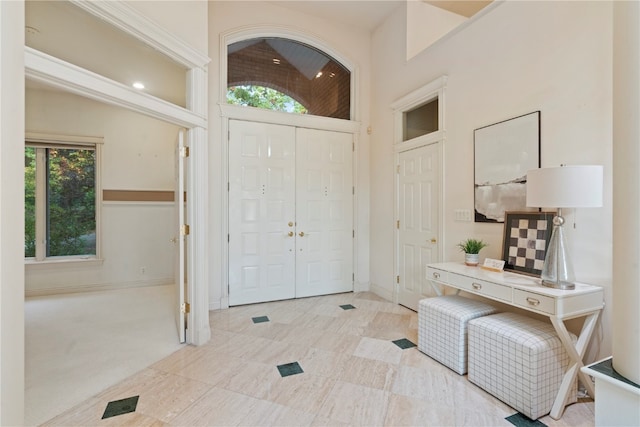 carpeted foyer featuring a healthy amount of sunlight