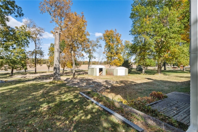 view of yard with a shed