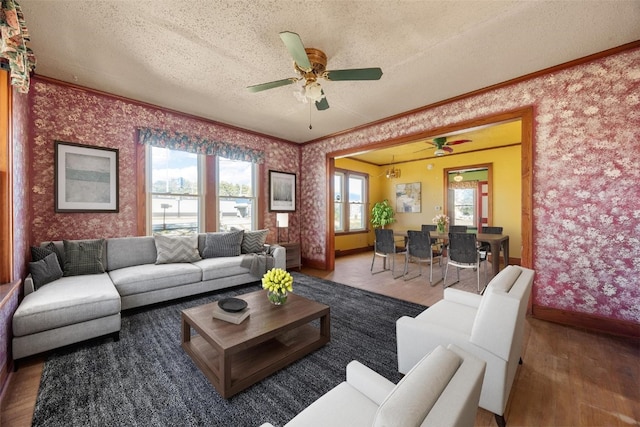 living room featuring wood-type flooring, ornamental molding, a textured ceiling, and ceiling fan