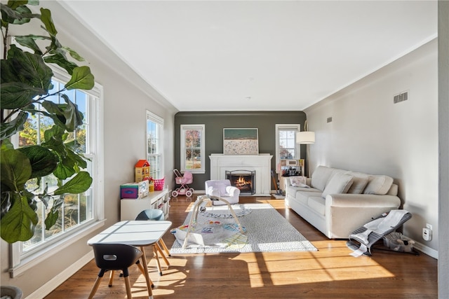 living room featuring hardwood / wood-style floors and a wealth of natural light