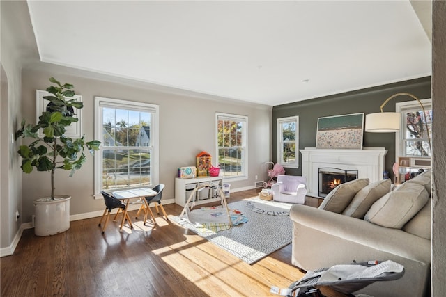 living room featuring hardwood / wood-style flooring