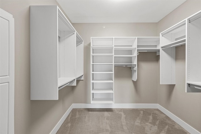 walk in closet featuring carpet flooring