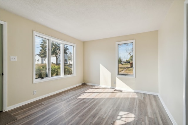 empty room featuring wood-type flooring and a textured ceiling