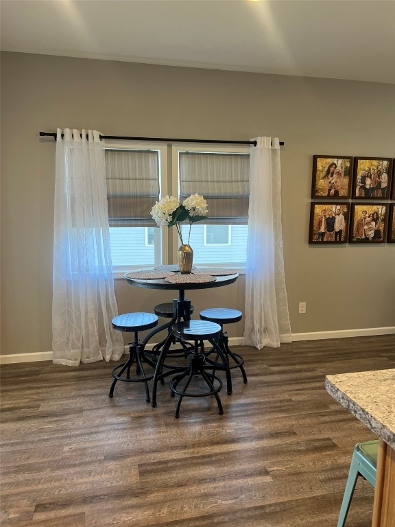 dining space featuring dark hardwood / wood-style floors