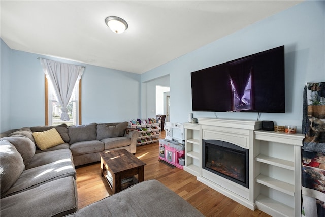 living room with hardwood / wood-style floors