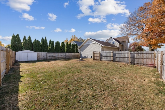 view of yard featuring a shed