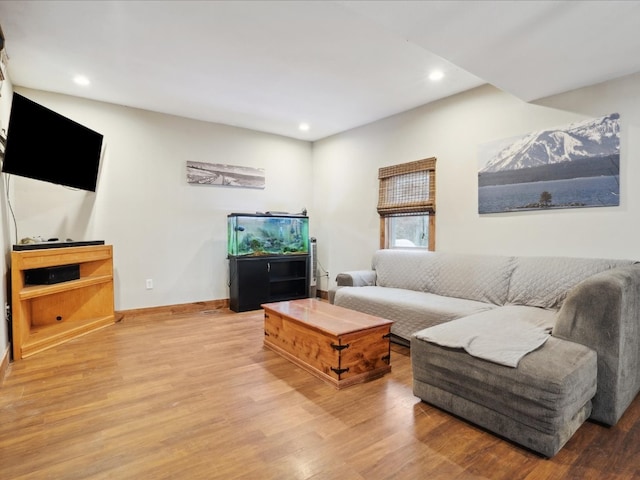 living room with hardwood / wood-style floors