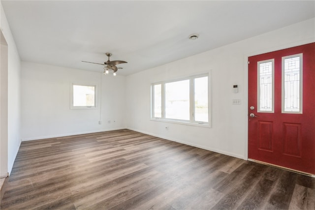 foyer entrance featuring a wealth of natural light, dark wood-type flooring, and ceiling fan