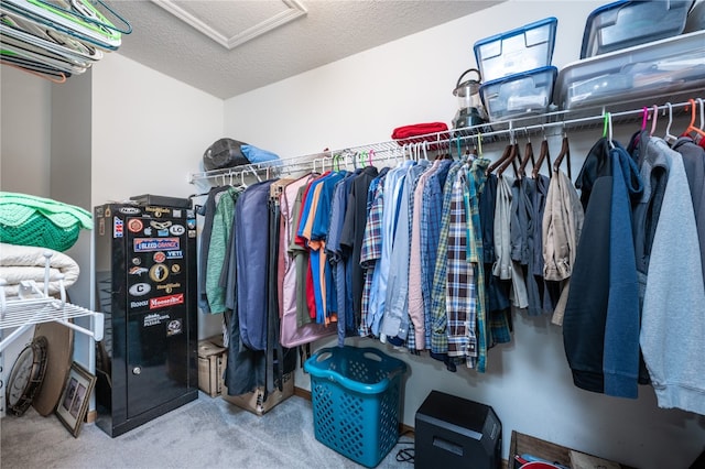 spacious closet featuring carpet floors