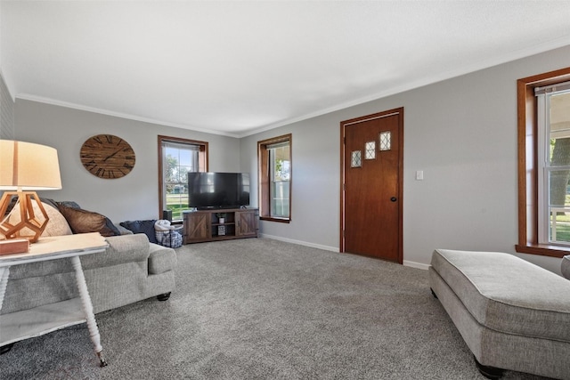 carpeted living room featuring a healthy amount of sunlight and crown molding