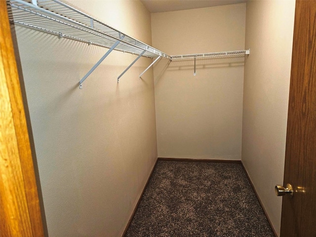 walk in closet featuring dark colored carpet