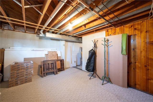 basement with carpet floors