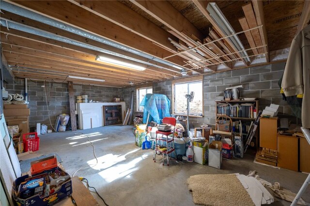 2482 65th St, Vinton, IA 52349 - view of below grade area