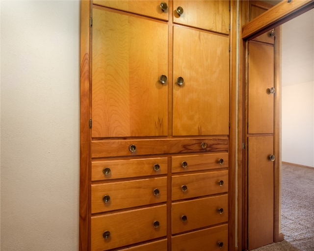 room details featuring carpet flooring