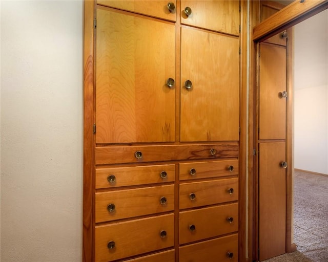 2482 65th St, Vinton, IA 52349 - detailed view of carpet floors