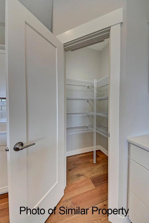 2933 Clubhouse Dr, Marion, IA 52302 - view of pantry