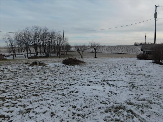 view of snowy yard