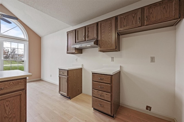 kitchen featuring a textured ceiling, dark brown cabinets, lofted ceiling, and light wood-type flooring