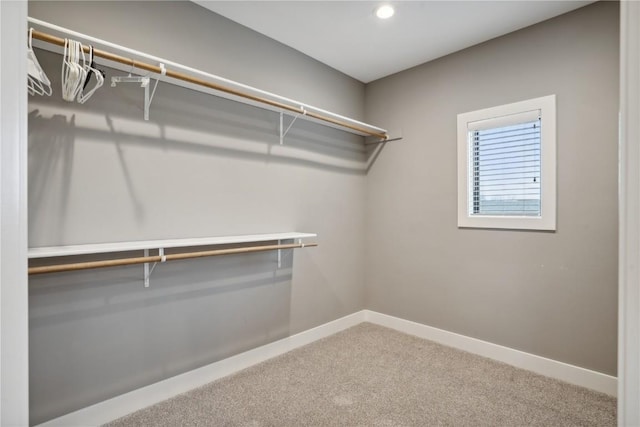 3037 Dell Ridge Ct, Hiawatha, IA 52233 - spacious closet with carpet