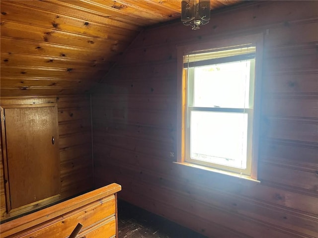 202 N Williams St, Anamosa, IA 52205 - bonus room featuring lofted ceiling, healthy amount of natural light, wooden walls, and wooden ceiling