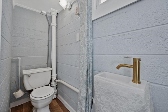 bathroom with toilet and wood-type flooring