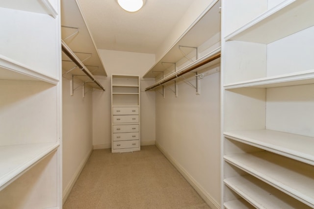 walk in closet featuring light colored carpet