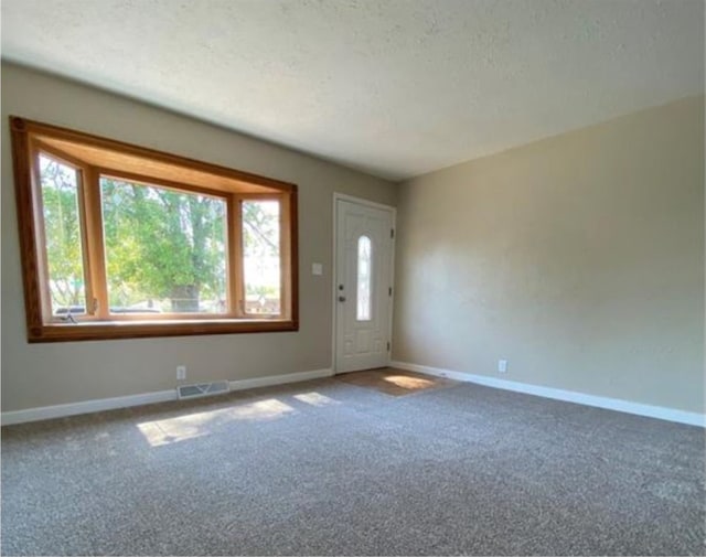 interior space with carpet and a textured ceiling