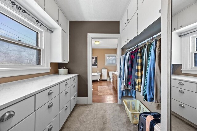 walk in closet with light hardwood / wood-style floors