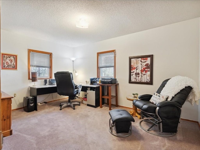 office space with light carpet, a healthy amount of sunlight, and a textured ceiling