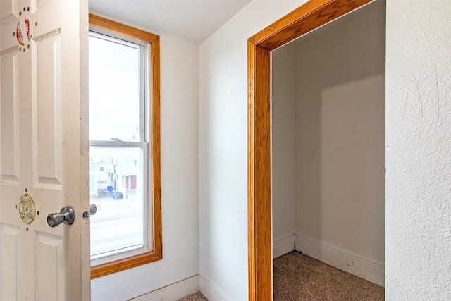 hall featuring a healthy amount of sunlight and carpet floors