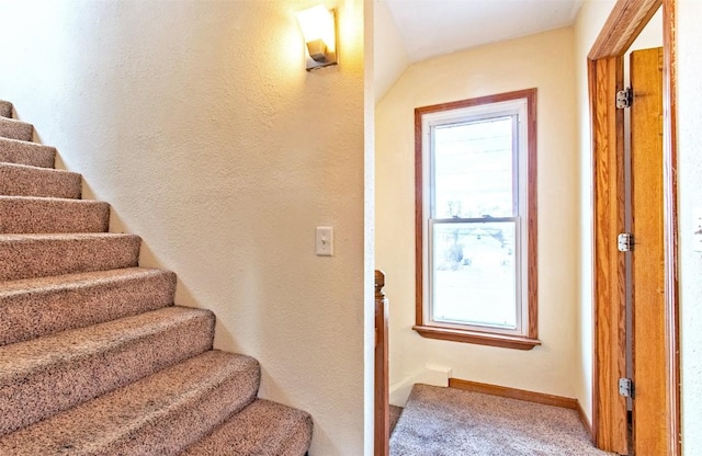 stairway with carpet