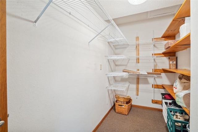 spacious closet with carpet flooring