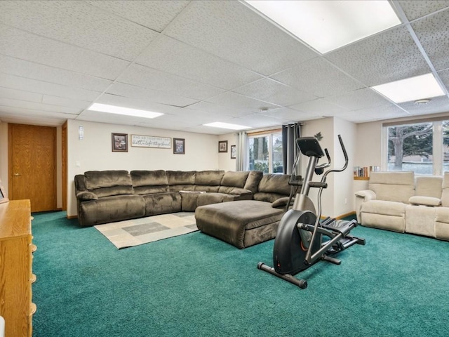 living room with a drop ceiling and carpet floors